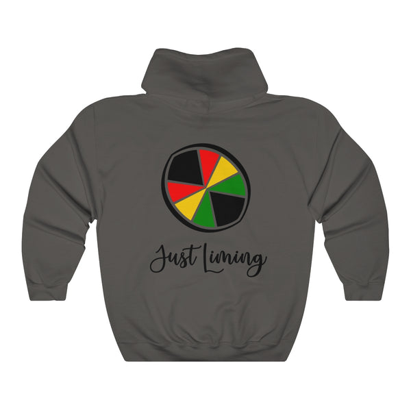 Just Liming - Unisex Heavy Blend™ Hooded Sweatshirt - CocoaLime
