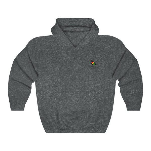 US x VI - Unisex Heavy Blend™ Hooded Sweatshirt - CocoaLime